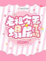 清穿之四爷的锦鲤福晋