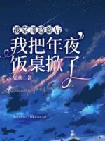 人在海贼却给了死神面板TXT