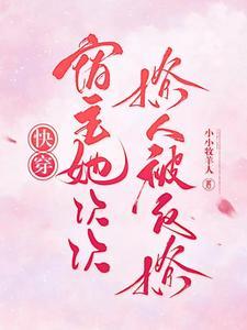 北宋小厨师女主