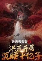 贤夫执业手册TXT