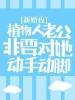 征服之路免费阅读