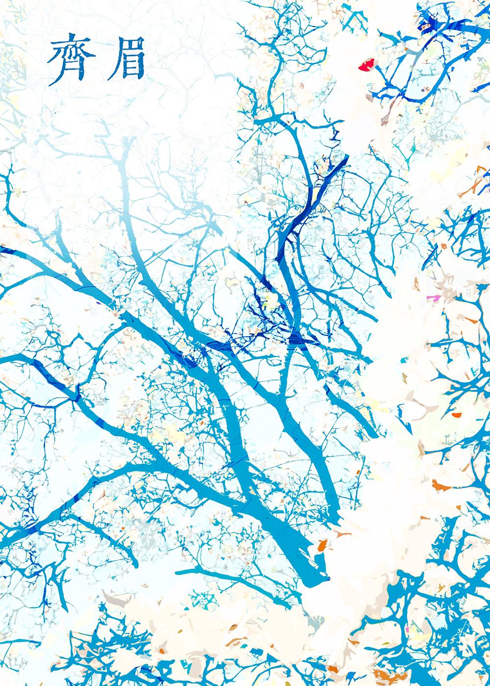 全世界都知道她爱我百度