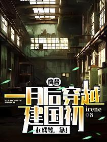 四合院里的读书人无弹窗