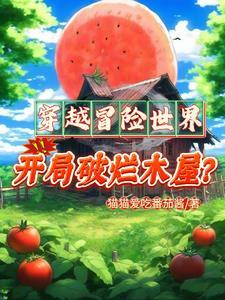 风起龙城可可出场章节