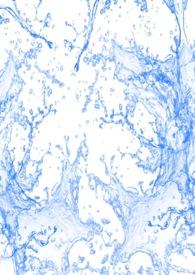 全世界都是演员只有我在修仙