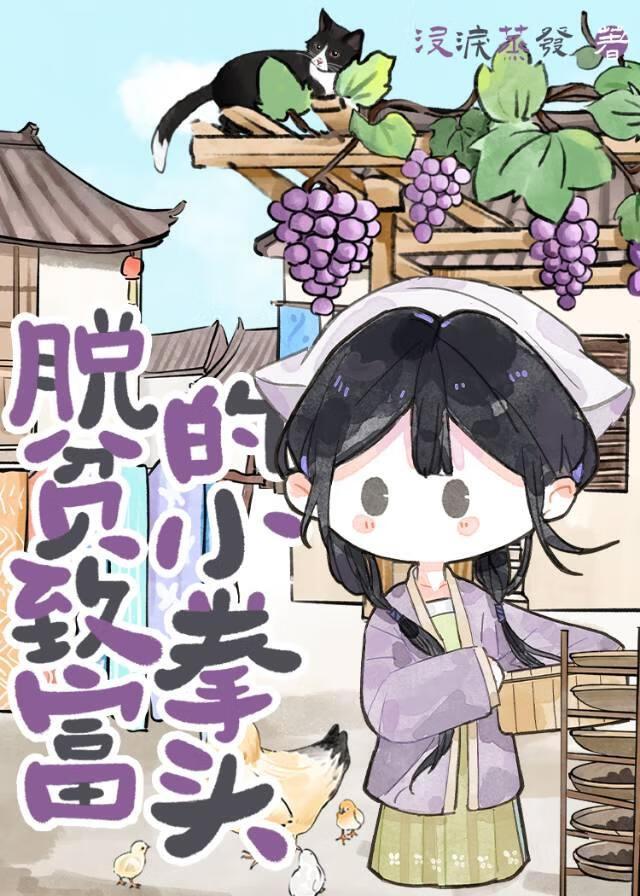 倾城绝恋电视剧全集免费观看