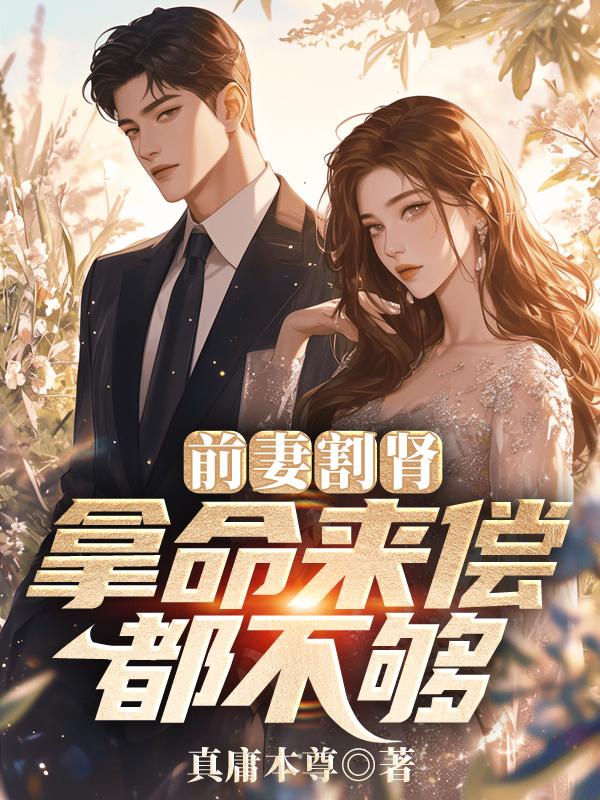 小王爷追夫路漫漫