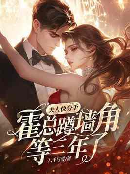 女总裁的超级高手百度百科