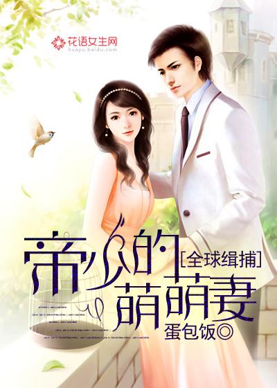 正道之光已下线免费阅读