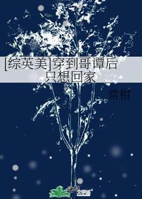 傲慢与偏见之玛丽只想咸鱼的人生63