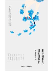 大盗贼主题曲