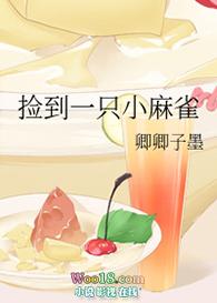 走错房间后总裁每晚都想招惹我免费阅读