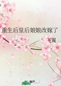 只和高质量人类谈恋爱全文