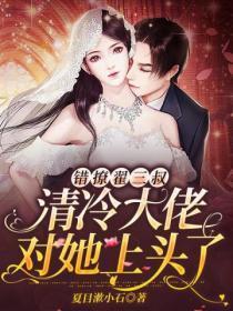 你归我酒暖春深