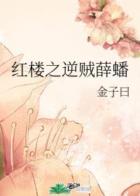 梦幻西游之重返2005最新章节