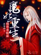 王术品丰免费