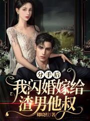 与你奏响的乐章免费读