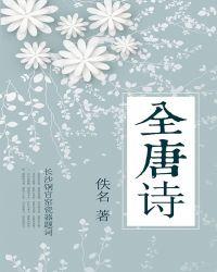 从军火商到战争之王精校版