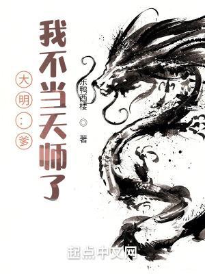 机战全金属风暴TXT