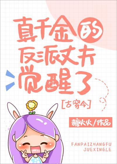 机战全金属风暴 辰燃