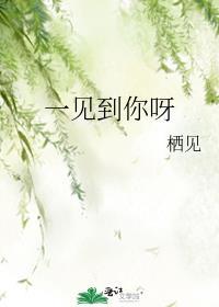 玻璃纤维