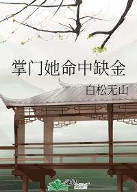 吞噬星空之巽风剑主