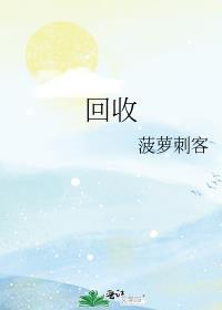 官途权力巅峰全文阅读免费