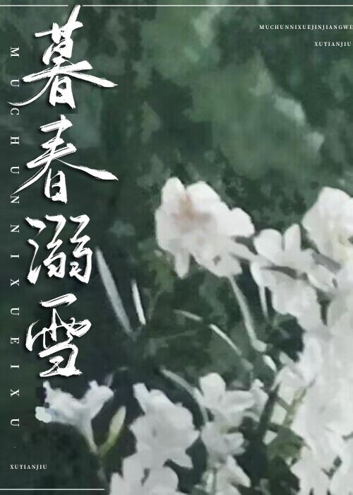 官途权力巅峰第一天遇到女老板