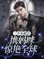 上海婚姻故事轻侯讲的什么