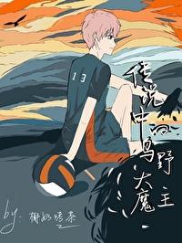 可恶我被反派攻略了格格党